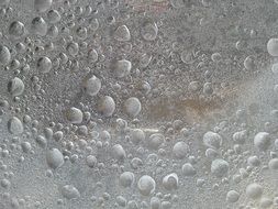 frozen water drops