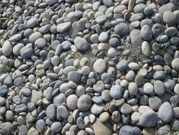 stones rocks pebbles grey gray