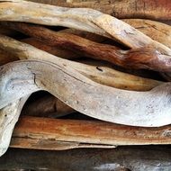driftwood wood beach nature