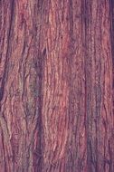 wood log nature bark structure