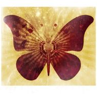 butterfly insects sepia graphic