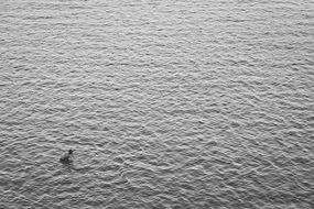 water ripple person bathing