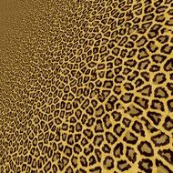 leopard paper background