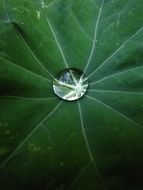 water drop of drops