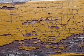 board background old wood