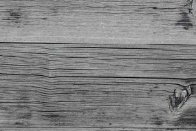 wood boards wall texture