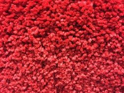 carpet fibers carpeting texture