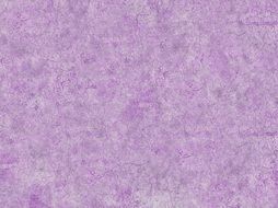 violet color wall, background