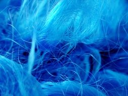 wig hair blue close carnival
