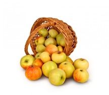 apples basket isolated background