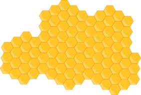 hive honeycomb bee hexagon yellow