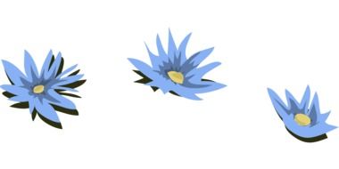 water lilies blue flowers blossoms