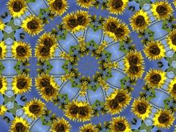 kaleidoscope sonnenblumnen sky