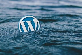 wordpress logo in the sea