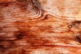 wood texture grain pattern