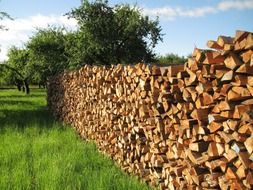 stucked firewood in the garden