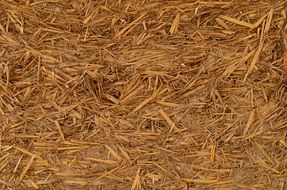 straw hay farm rural agriculture