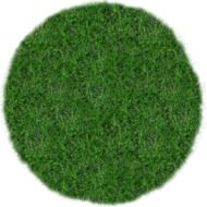 circle of green grass