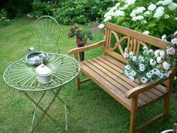 garden romantic flowers plant