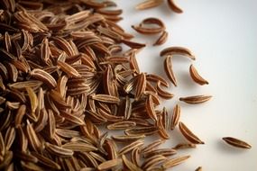 caraway seeds macro close up