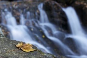 leaf waterfall autumn fall water