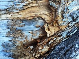 old wood dry rotten pattern