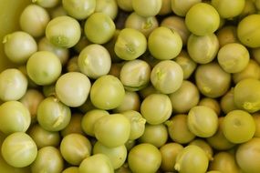 fresh young green peas