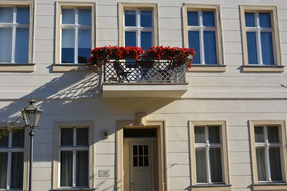 roses on the balcony of the building