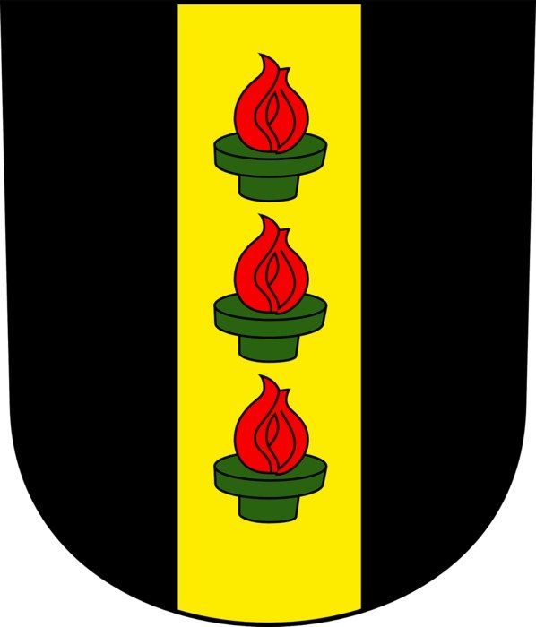 coat of arms of wetzikon town