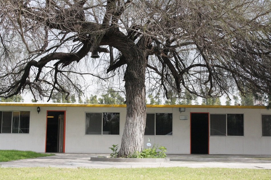 white one-storey house