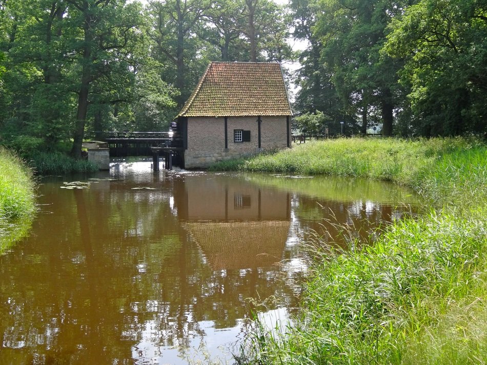 Picture of watermill on a pond coast in a forest