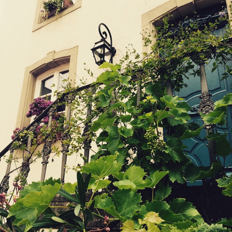 balcony in the winegrower's house