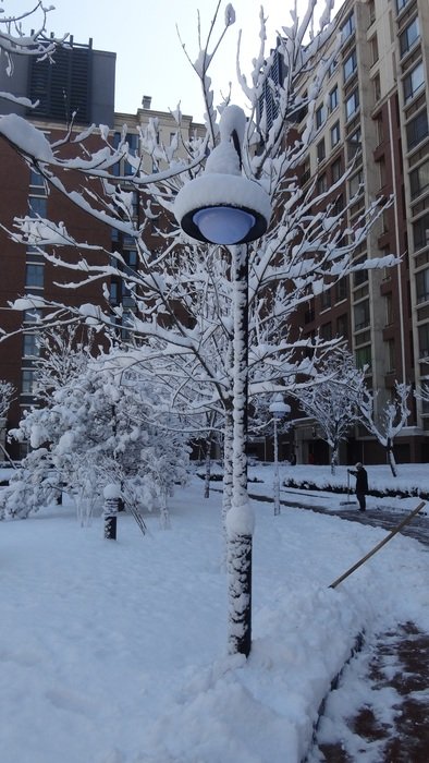 street ice lamp
