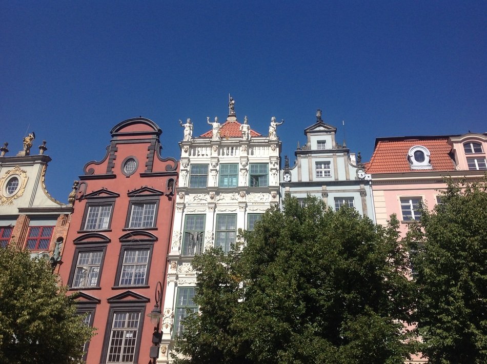 old townhouses with plants on blue sky background