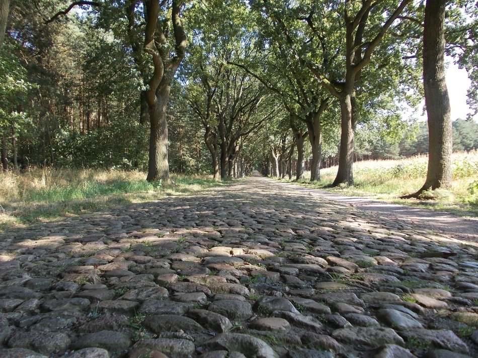 cobblestone street in Lower Saxony