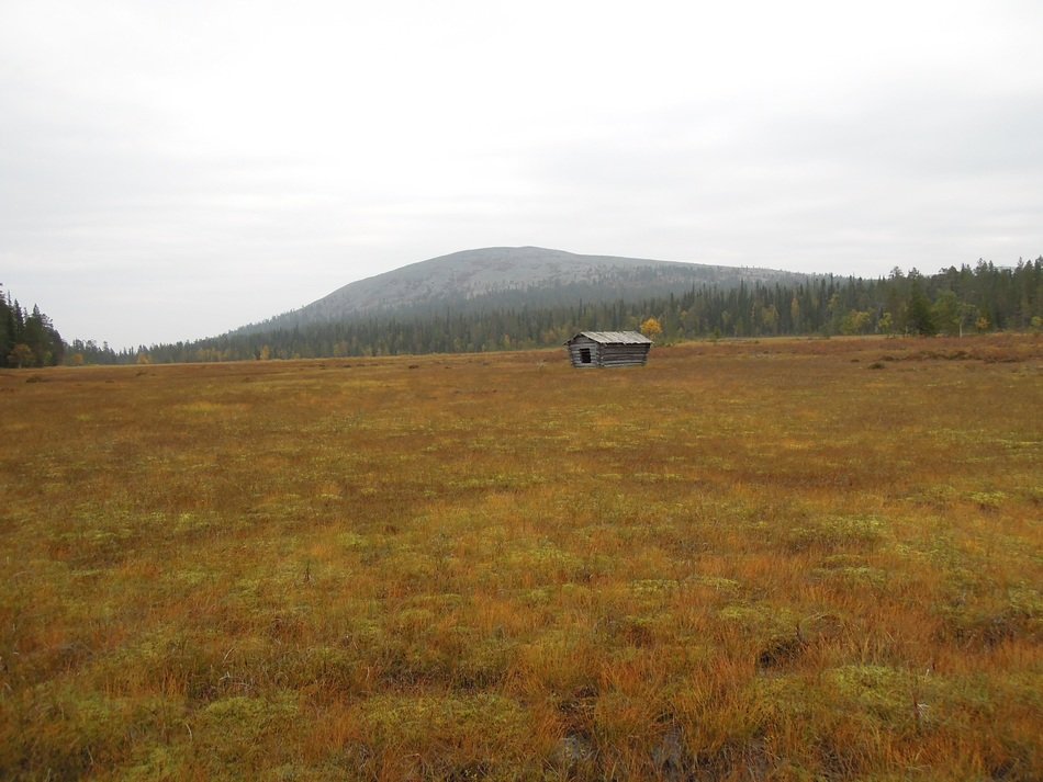 dilapidated barn in the countryside in Lapland