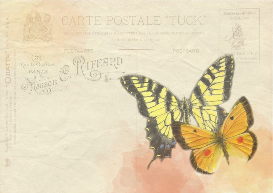 butterfly background post postcard