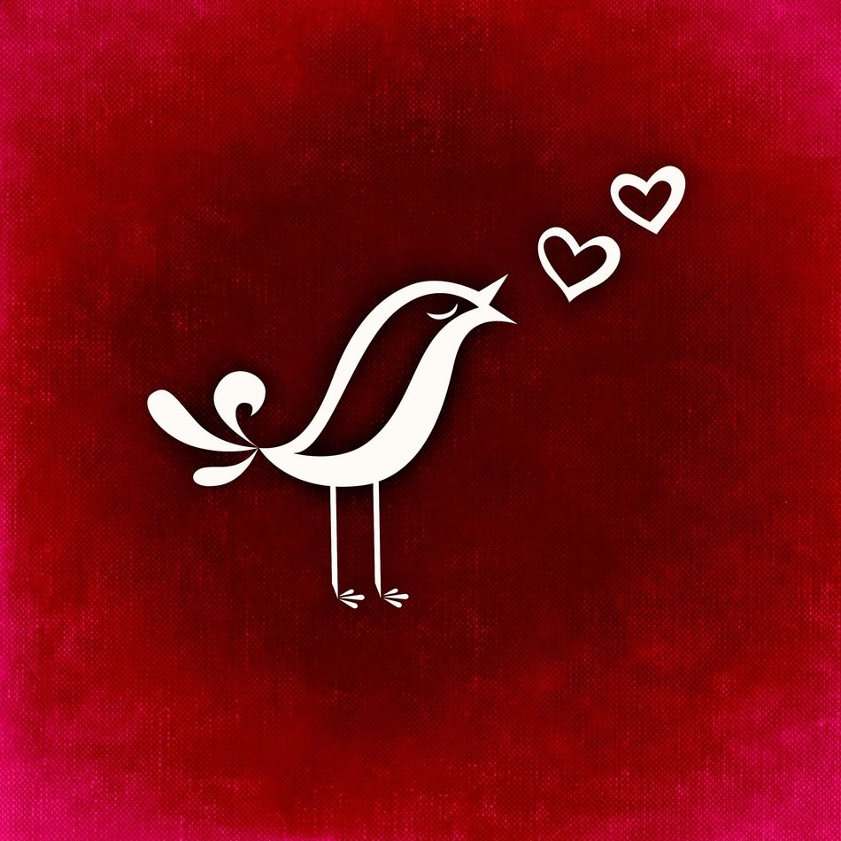 background image with bird and hearts