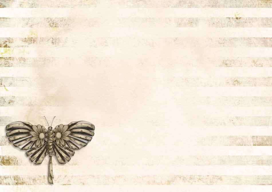 pink page stripe butterfly