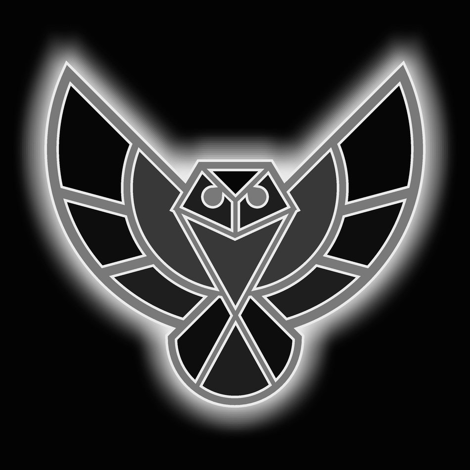 owl eagle bird background image