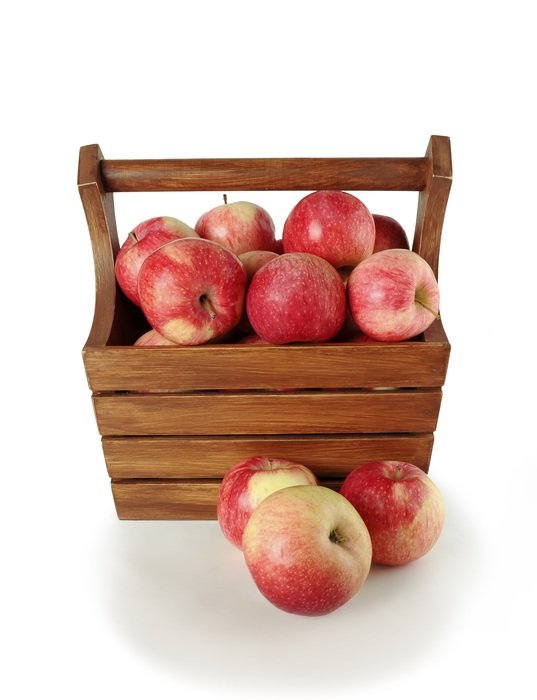 apples basket set vintage isolated