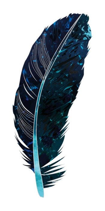 spring blue black spotted fund