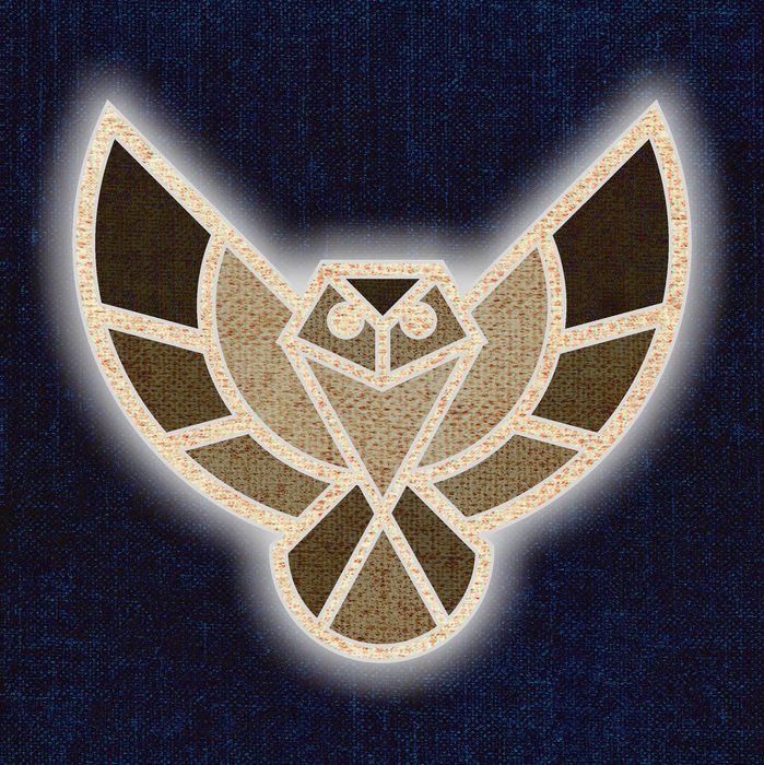 image of the Owls on a dark blue background