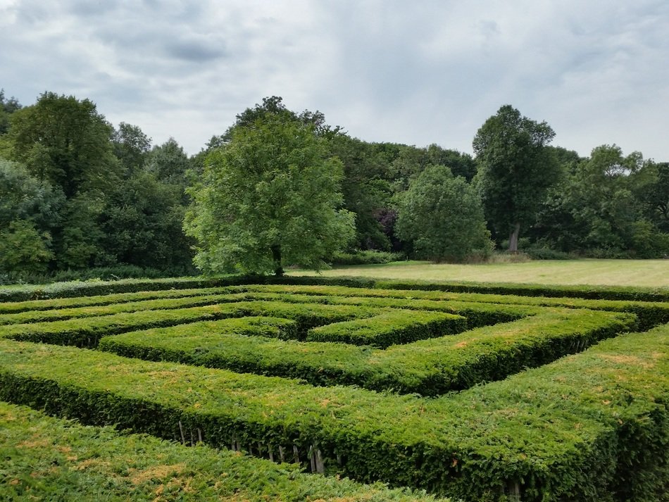 maze intricacy green labyrinth