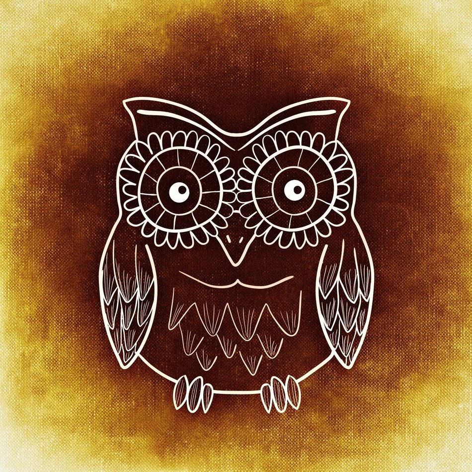 owl abstract funny pattern