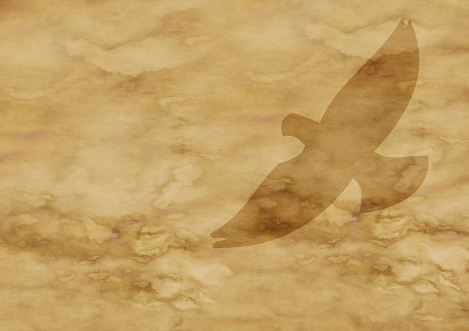 paper parchment dove flight fly