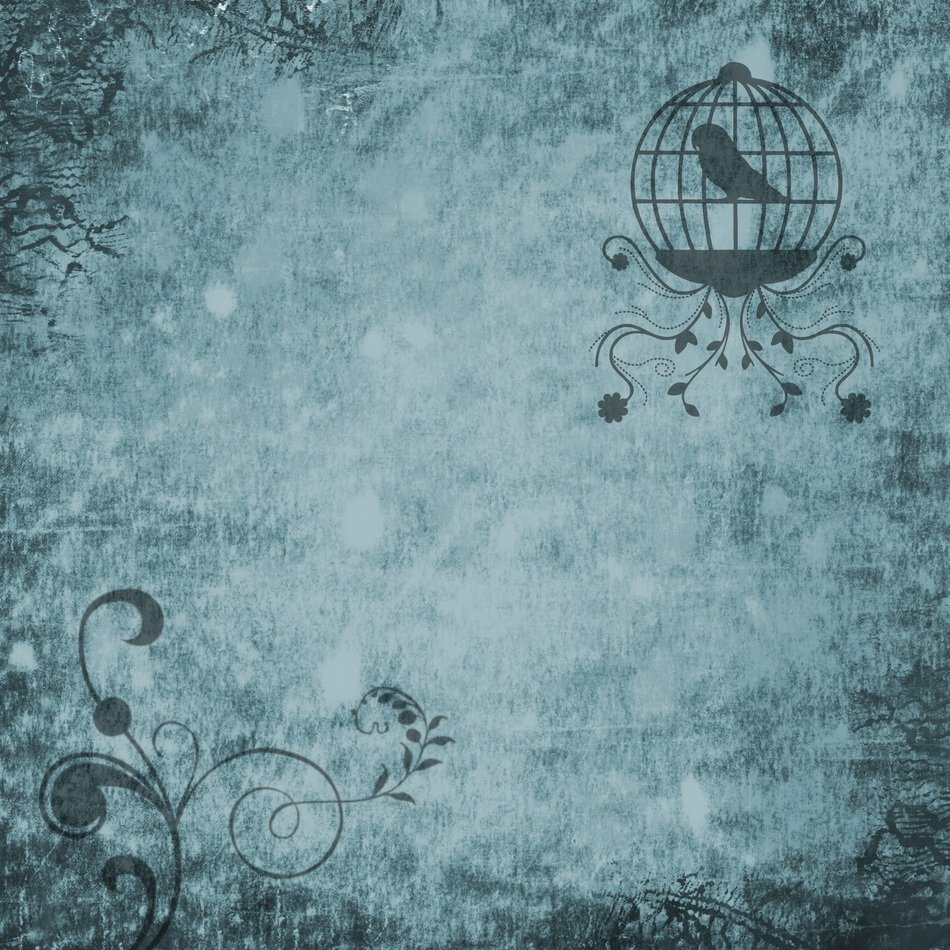 bird cage blue background grunge