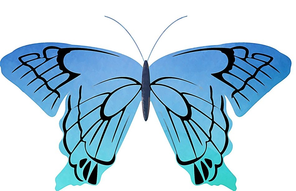 blue butterfly insect watercolor