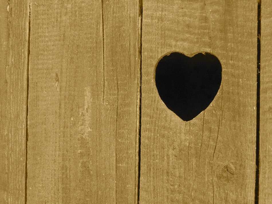 heart shape symbol love silhouette