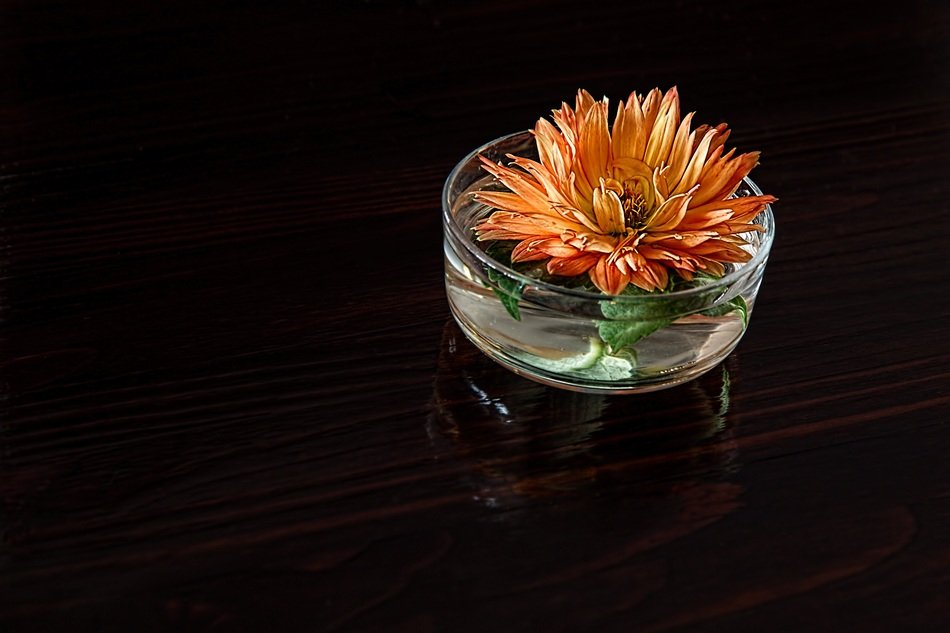 dahlia flower in a small vase